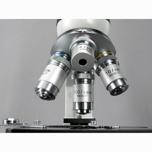 Image of AmScope M600 Compound Monocular Microscope, WF10x Eyepiece, 40x-1000x Magnification, Brightfield, Tungsten Illumination, Abbe Condenser, Mechanical Stage, 110V