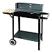 4U-Onlinehandel Grill na kółkach, 53 x 27 x 83 cm, grill na węgiel drzewny, grill ogrodowy, BBQ