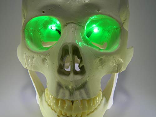 Dead Head Props 24 Inch, Battery Operated, Green Led Eyes For Masks, Skulls And Halloween Props #TOP3