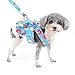 Ranphy Floral Print Dog Clothes for Small Dogs Girl Dog Dress Harness and Leash Set Puppy Cute Bow Skirt Pet Outfits with D-Ring Cat Puppy Apparel, Light Blue, L
