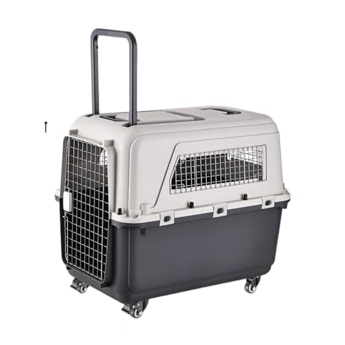 OGXN ybgq ybgAP[W bV݌v o_td̓LX^[ {hA Eh~\ t\ q󗷍sΉ ԐVp 咆^L h?H sSpi O[n (04)