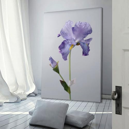 Poster iris violet moderne 50 x 75 cm décoration murale fleur