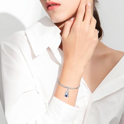 PROESS 925 Sterling Silver Hippo Charm 12 Months Birthstone Hippopotamus Charm for Hippo Bracelets Hippo Bead Hippo Jewelry for Women Hippo Lovers3