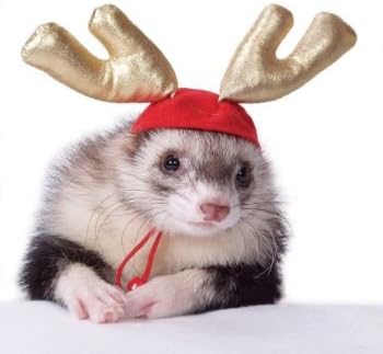 Marshall Pet Holiday Antlers for Ferrets and Small Animals