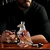 MOUNTTU Eagle Whisky Dekanter - Adlerform Glas Dekanter Geschenk