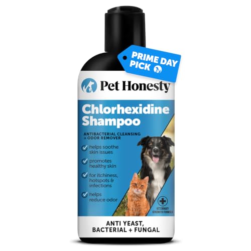 Pet-Honesty-Chlorhexidine-Cat-Dog-Seasonal-Itch-Relief-Shampoo-for-Allergies-Itching-Skin-and-Coat-Supplement-Helps-Shedding-Hot-Spots-Deodorizing-Dog-Shampoo-Grooming-Supplies16oz Pet Honesty Chlorhexidine Cat & Dog Seasonal Itch Relief Shampoo, for Allergies, Itching, Skin and Coat Supplement, Helps Shedding, Hot Spots, Deodorizing Dog Shampoo & Grooming Supplies,16oz - Image 1