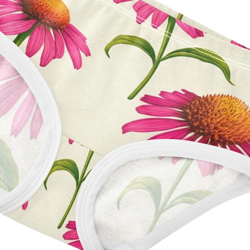 Girls Underwear Toddler 2t Cotton Panties for Girl Fun Print Briefs Kids Undies Pink Coneflowers Light Cream4