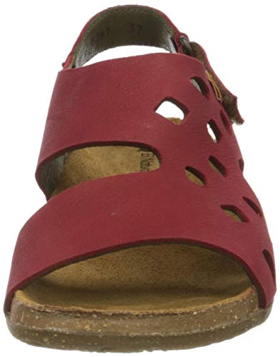 El Naturalista Wakatua, Sandali Punta Aperta