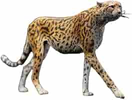 Amazon | [AC] JXK JXK116 1/6 映画 アニメ ゲーム 動物 獣 猛獣