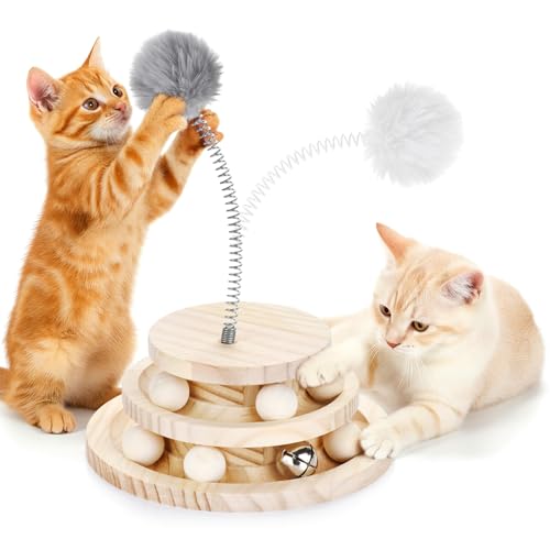 SMICEM 2iؐL{[gbNgC - O\ȃ{[tŐL^[e[uAqL&L̂߂̃C^NeBuDIYT[NgC _I/g̓I^ASȓVR؂̎qL[[