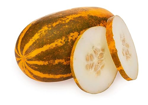 Image of Fresh Cucumber Madras, 1Pc (Approx 500-600 g)