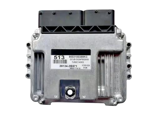 Car Engine Computer Board ECU Fit For KIA Hyundai 513 39134-2B571 MEG17.9.12