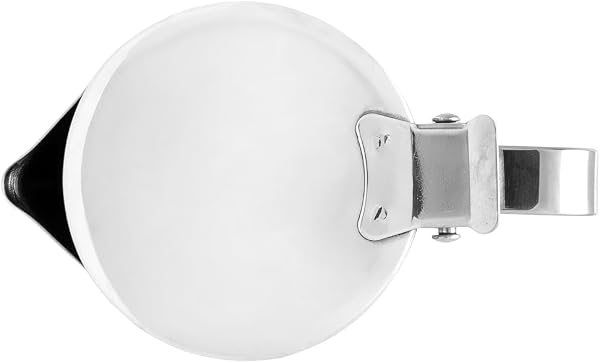 Aeternum, La Divina Re Inox, Bricco Latte con Coperchio, Capacità 350 ml, Non adatto all'Induzione, Acciaio Inox, Argento - 2