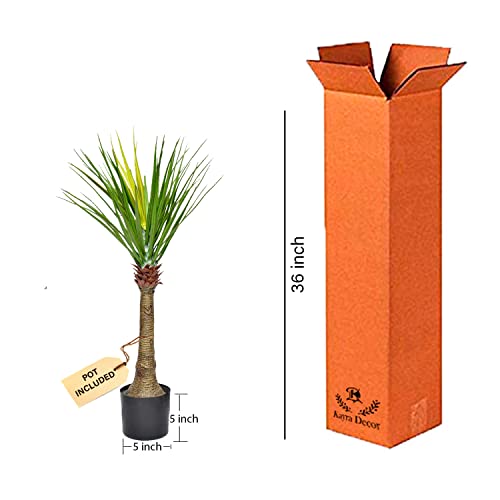 Image of Kayra Decor 3 Feet Cactus Plant -Big Plants for Living Room Artificial with Pot (Black)