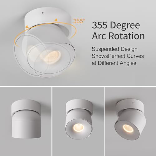 Image of Aisilan 15W LED Dimmable Ceiling Spotlight, Adjustable Directional Surface Flush Mount Lighting, Wall Spot Lights Indoor Accent Fixture for Art Picture Gallery Paintings, 3000K, White