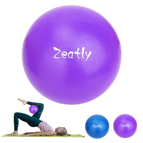 zeatly 9 Inch Mini Exercise Ball for Pilates, Yoga, and Core Training - Small Ball with Pump, Guide for Physical Therapy, Balance, Stability, and Stretching - Ideal for Workouts, Home Gym (Purple)