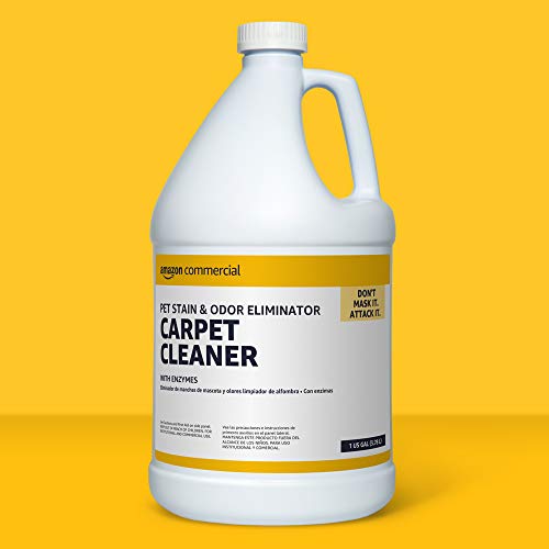 AmazonCommercial Pet Stain & Odor Eliminator Carpet Cleaner with Enzymes, 1-Gallon, 1-Pack