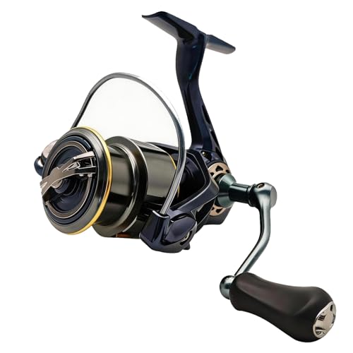 ���y�ʊC���p�X�s�j���O���[���B�u���[���b�L���H�̃A���~�j�E���������{�f�B�Ƀo�b�N���b�V���h�~���[�^�[�𓋍ځB�T�[�t�A�V���A�{�[�g�ł̃����O�L���X�g�ɍœK�ȃ��[��(S5000)