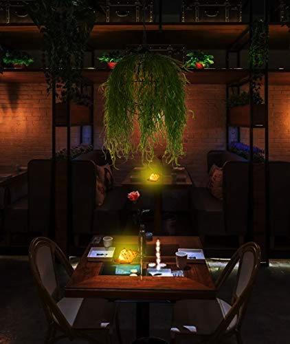 Greenic Portable Conch Shell Beach Themed Night Light W Timer For Kids Adults Bedroom Nightstand Lamp Nautical Lighting Battery Operated, Warm White #TOP2