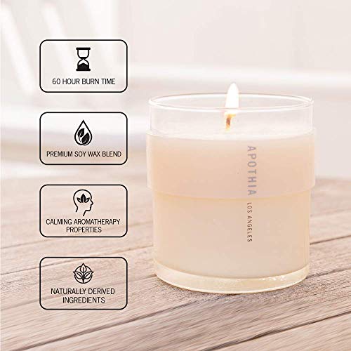 Apothia - Breathe Candle | Fresh Green Fir & Cloves I Award Winning Scented Candles With Premium Soy Wax Blend I 60 Hour Long Burning I 9 Oz I Small Batches For Luxury Quality In Decorative Jar #TOP4