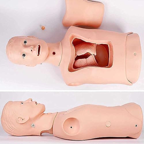 Manichino di addestramento del tubo gastrico - Modello avanzato di cura nasogastrica e trachea per l'istruzione infermieristica e medica