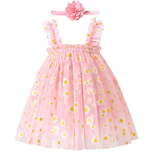 Baby Girl Tulle Dress 6-9 Months Pink Tulle Princess Clothes with Headband