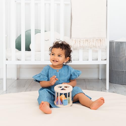 Image of Pearhead Wooden Match and Roll Shape Sorter - Montessori Early Learning Toy, Rolling Toddler Toy, Educational Wooden Color Sorting Cylinder for Fine Motor and Early STEM Skills, Ages 12m+