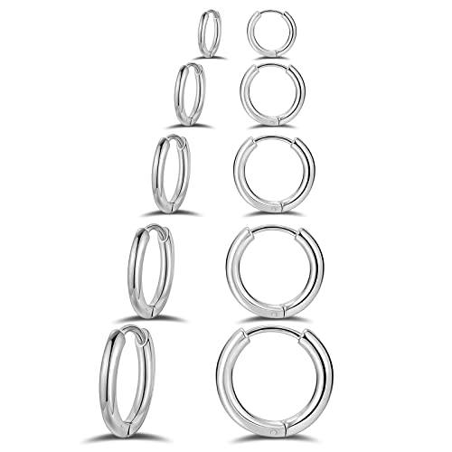 5 Paare Creolen Damen Ohrringe Edelstahl Damen,Ohrringe Set Silber Creolen Set Silber,Creolen Klein Ohrringe Damen 8/10/12/14/16mm Mini Creolen Herren Hoop Ohrringe Geschenke Für Frauen,Silber 2.5mm