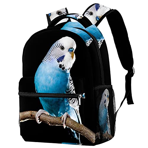 Sac à dos de voyage pour perruches avec porte-bouteille intégré et ventilation optimale
