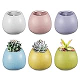 Livabber 4 inch Macaron Wall Plant Holder of 6 Colors, Ceramic Wall Mounted Hanging Planter for...