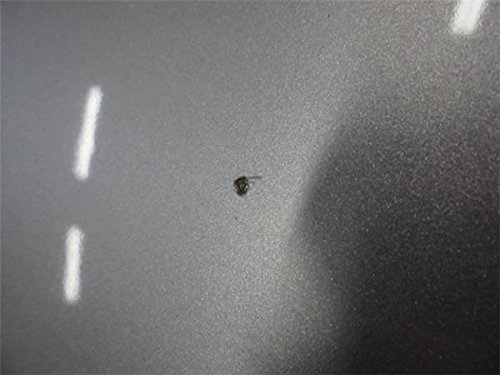 セルシオ GF-UCF20 ボンネットフード 051 69737