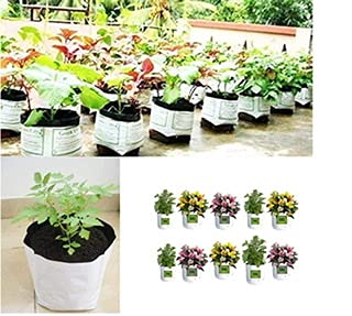 ElamgreenPoly Grow Bag for Terrace Gardening 20x20x30 cm Vegetable Seeds for Gardening/Grow Vegetables, Fruits, Onion & Other Leafy Vegetables/Free Vegetable Seeds for Gardening (White, 20)