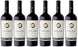 Miguel Torres Chile Santa Digna Merlot, Vino Tinto - 6 botellas de 75 cl, Total: 4500 ml