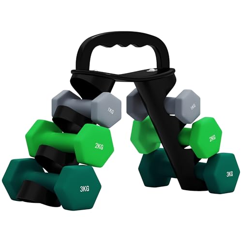 SPORTNOW Dumbbells Set with Carry Storage Rack, Set of 6 Weights for Home Gym, Kettlebell Training Weight Lifting Exercise