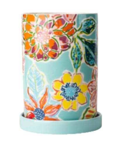 EiuuiojuAbNAAZ~bN؂AuA؂胉bNALb`H[ (A)