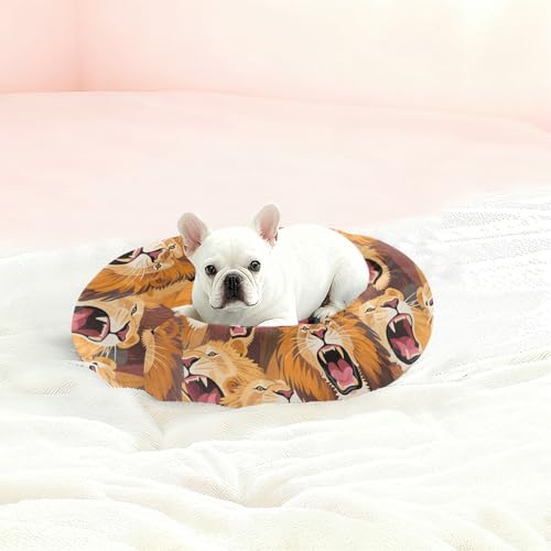 Coussin lion chaud et isolant taille M pour petit animal - 3