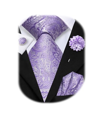 Image of Hi-Tie Mens Paisley Floral Striped Ties Set Silk Necktie and Lapel Pin for Men Pocket Square Cufflinks Set Business Wedding