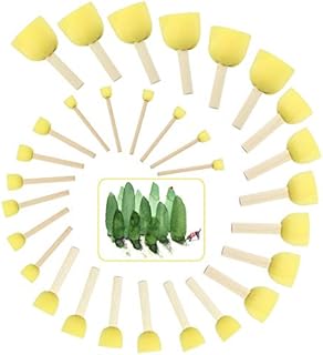 EMAGEREN 30 Pcs Sponge Paint Brush 5 Sizes Round Foam Sponge Painting Brushes Set Stencil Brush Sponge Paint Stencil Tool with Wooden Handle for Kids Arts and Crafts DIY Painting Tools
