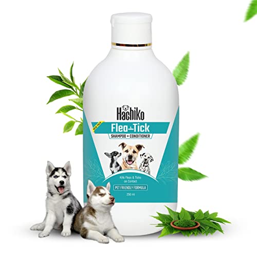 Hachiko Paraben Free Flea and Tick Dog Shampoo|Ditch to Itch 250ml | Dog Shampoo for Labrador, German Shepherd, Golden Retriever, Anti Dandruff,Shampoo for Dogs,Ticks and Fleas Remover for Dogs