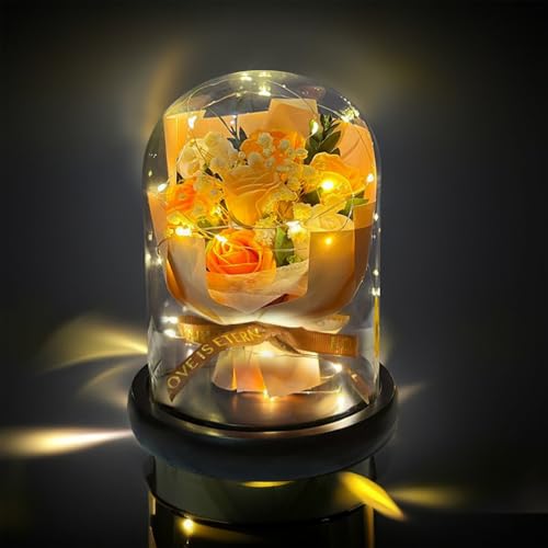 �\�[�v�t�����[ LangRay �͂�Ȃ��� ���� �ԑ� �o�� ��?�� ��?�t�����[ ���蕨 �M�t�g �h�V�̓� ��̓� �J�X�j�� �a���� �L�O�� �������� ���� ���� �v���[���g �M�t�g�{�b�N�X (LED �Ԃ��o���̃u�[�P)