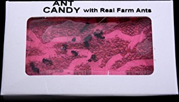 Ant Candy Cherry- 1 Package