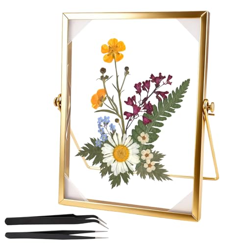 EXIN DEHCEN Marco de Vidrio de Flores, Marcos de Fotos 15x20 cm con 2 Pinzas, Marco de Fotos de Cristal para Flores Prensadas, Marco Dorado, para Cumpleaños, Bodas, Navidad, Decoración