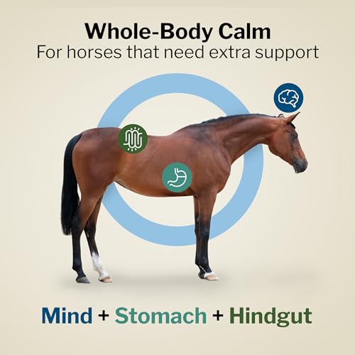 Formula 707 Support Pro Daily Packs for Horses - 28 Day Supply - Calming, Ulcer Support, Hindgut Health, Focus & Stress Relief - Image 2
