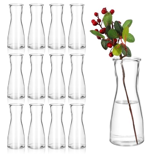 12 Pieces Glass Bud Vases for Centerpieces Clear Bulk Small