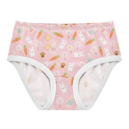 Bunny Rabbit Carrot Dandelion Toddler Girls's Underwear 2T 2300660