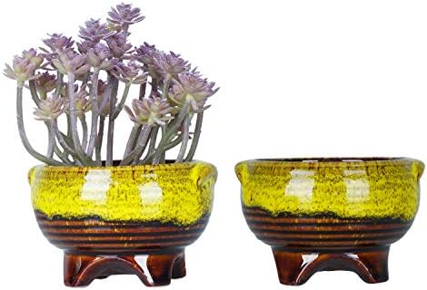 Ceramic Succulent Plant Pots Small Cactus Pots, 10CM Glazed Flower Plant Container with Drainage Home Garden Decoration Pack of 5
