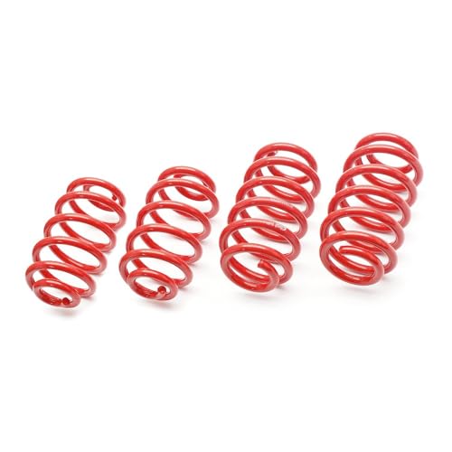 Eibach E20-15-003-05-22 Sportline Resortes de Chasis para la Profundización