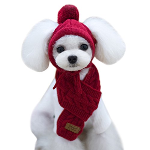 Alfie Pet - Bryn Winter Scarf and Hat Set for Dogs and Cats - Color: Burgundy, Size: Medium