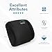 MODVEL Lumbar Support Pillow for Office Desk Chair - Memory Foam Back Cushion (MV-101)