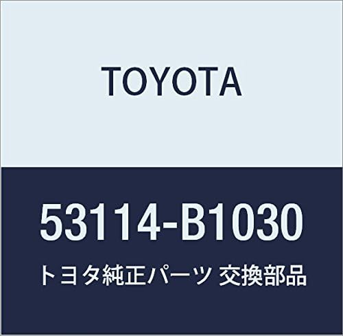 Toyota Genuine Parts Radiator Grille UPR Light/Town Ace Part Number 53114-BZ010